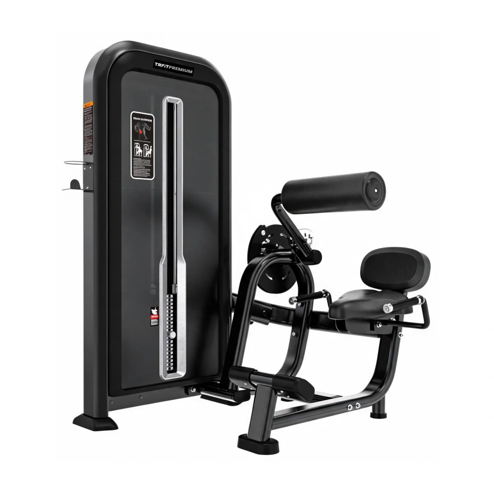 Máquina extensora lombar TY11 profissional com torre de peso de 100 kg para treino de lombar, costas e fortalecimento da região posterior